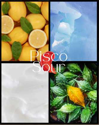 Pisco Sour Time avec Camille & Guillaume !